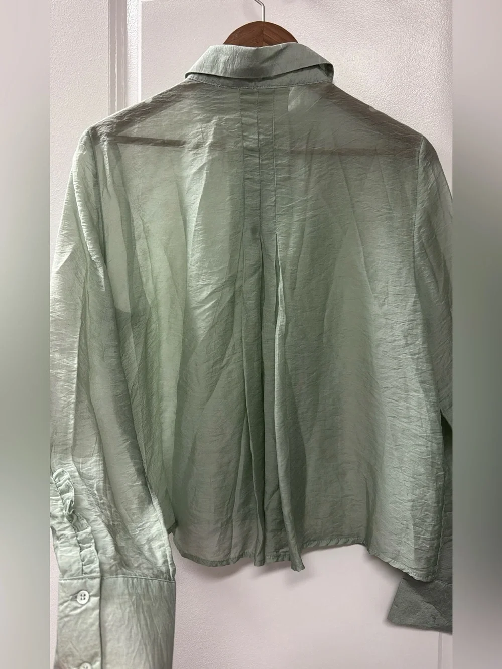Zara Sage Green Sheer Button-Down Shirt